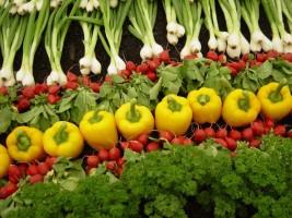 Vegan_vegetables | پیوند سبریجات یا سبزیجات پیوندی - قسمت اول