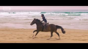 wild_horse_riding_perranporth_beach | اسب سواری در ساحل پرانپورت انگلیس