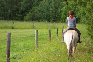 horse-riding-training-for-beginners | آموزش سوارکاری (اسب سواری) برای مبتدیان - اصول اولیه ، ایمنی ، اشتباهات
