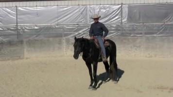 teaching_horse_steer_part_2 | آموزش سوارکاری با وارویک شیلر ( قسمت دوم) هدایت اسب